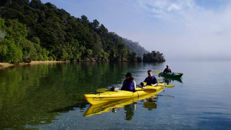 Experience the magical Marlborough Sounds with a half day guided kayak tour. With a vast network of beautiful waterways and coastline to explore, the Marlborough Sounds is a truly remarkable and adventurous sea kayaking destination.